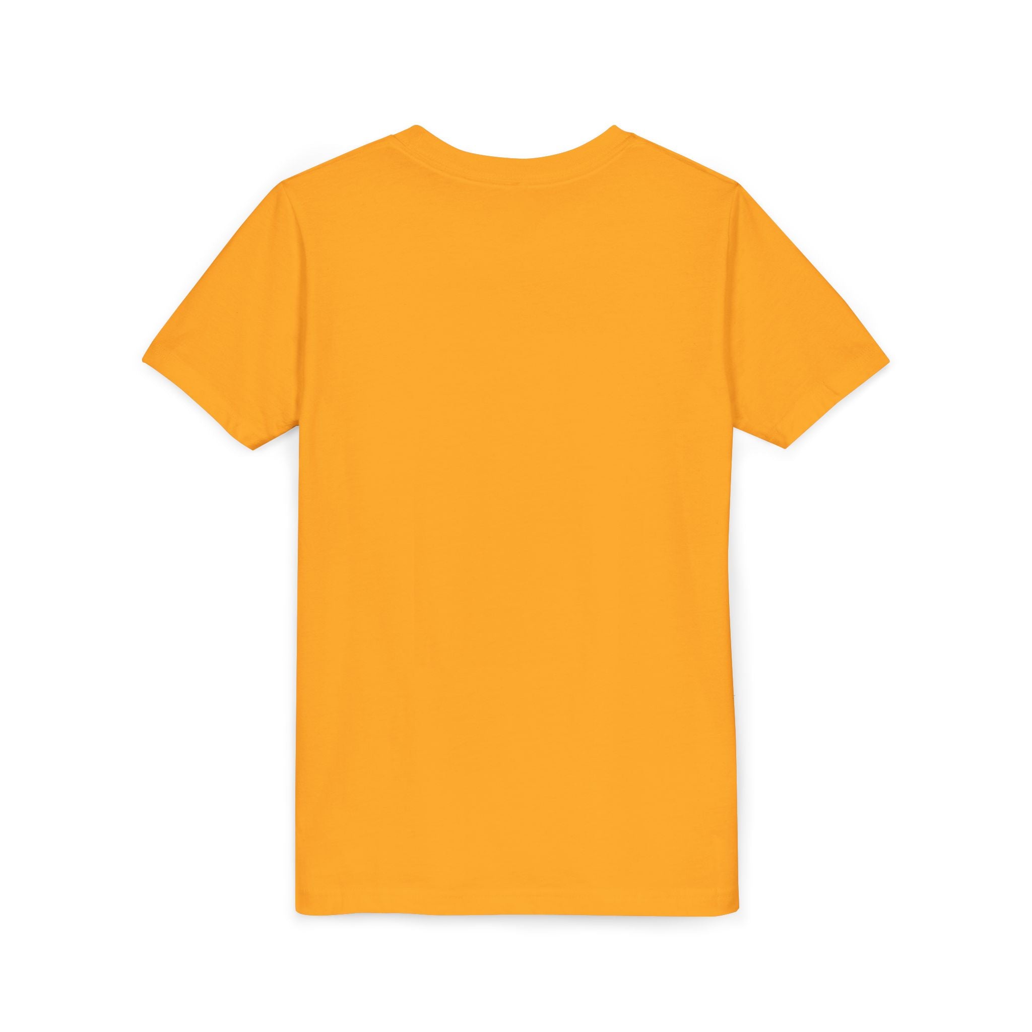 Youth popsicle drip T-shirt