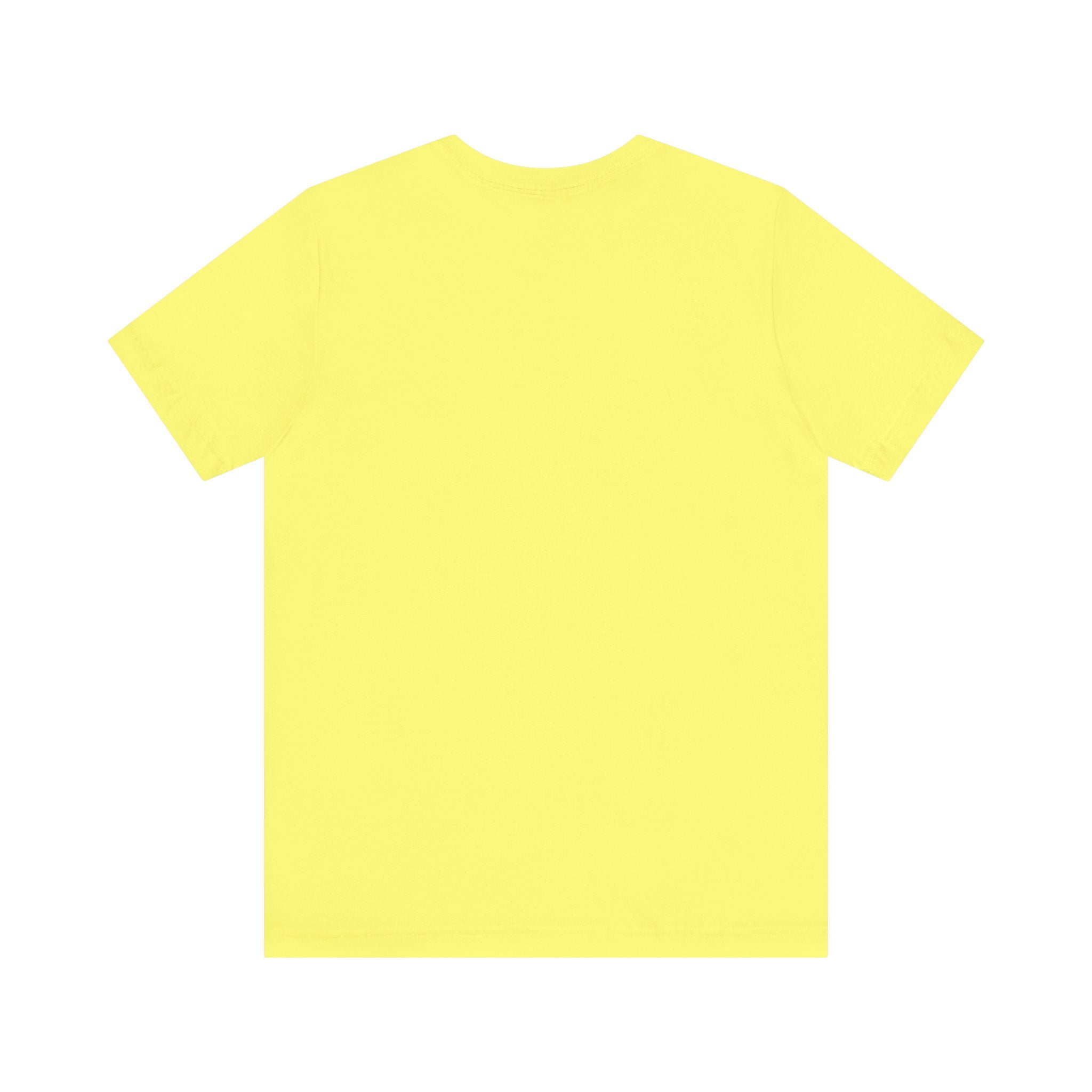 Adult popsicle drip T-shirt