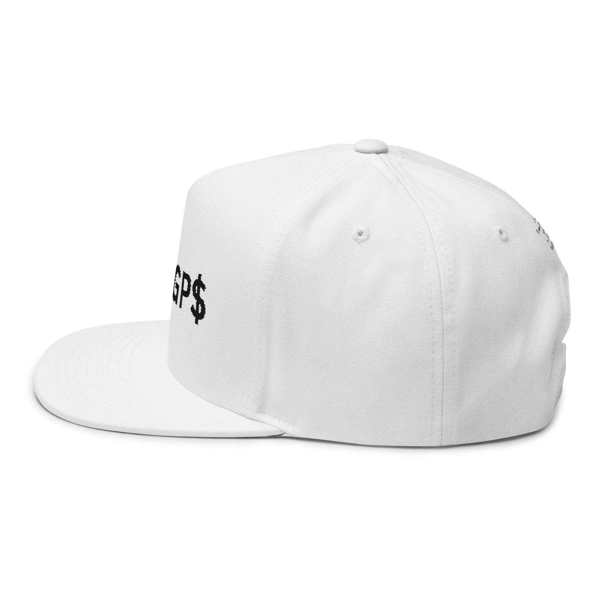 Phillipians 4:13 hat