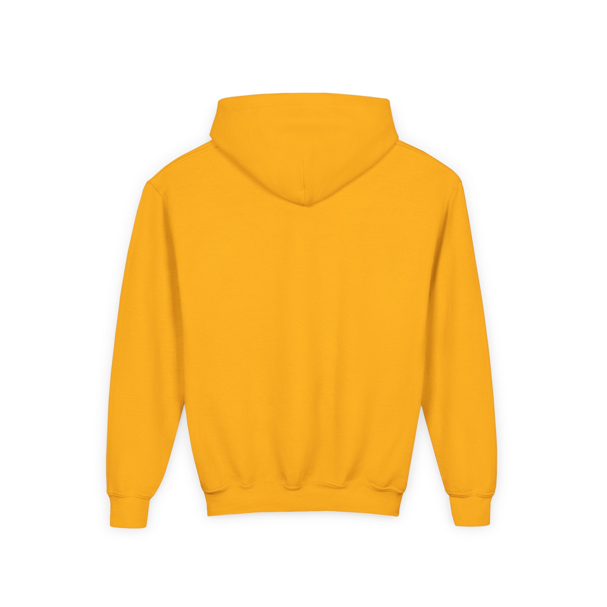 Youth popsicle drip hoodie