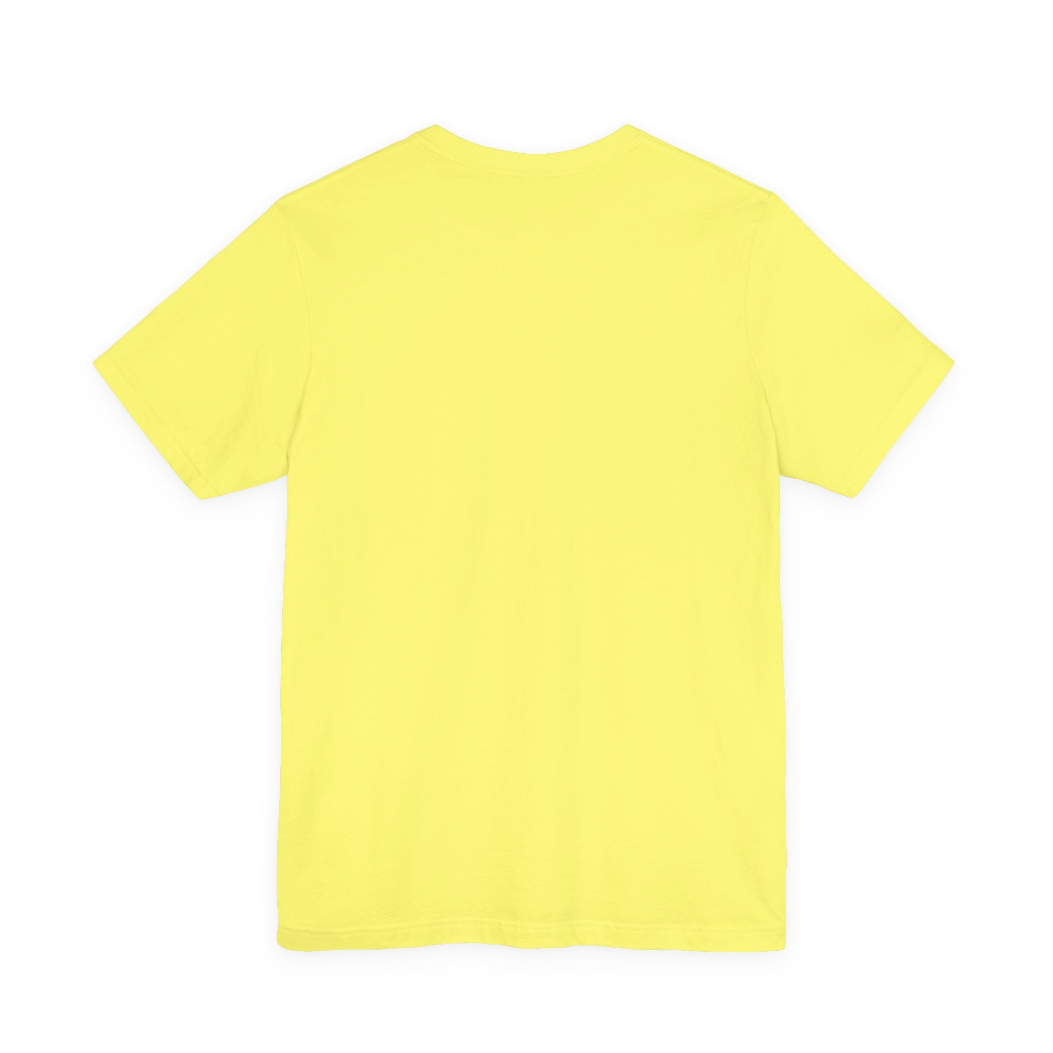 Adult popsicle drip T-shirt