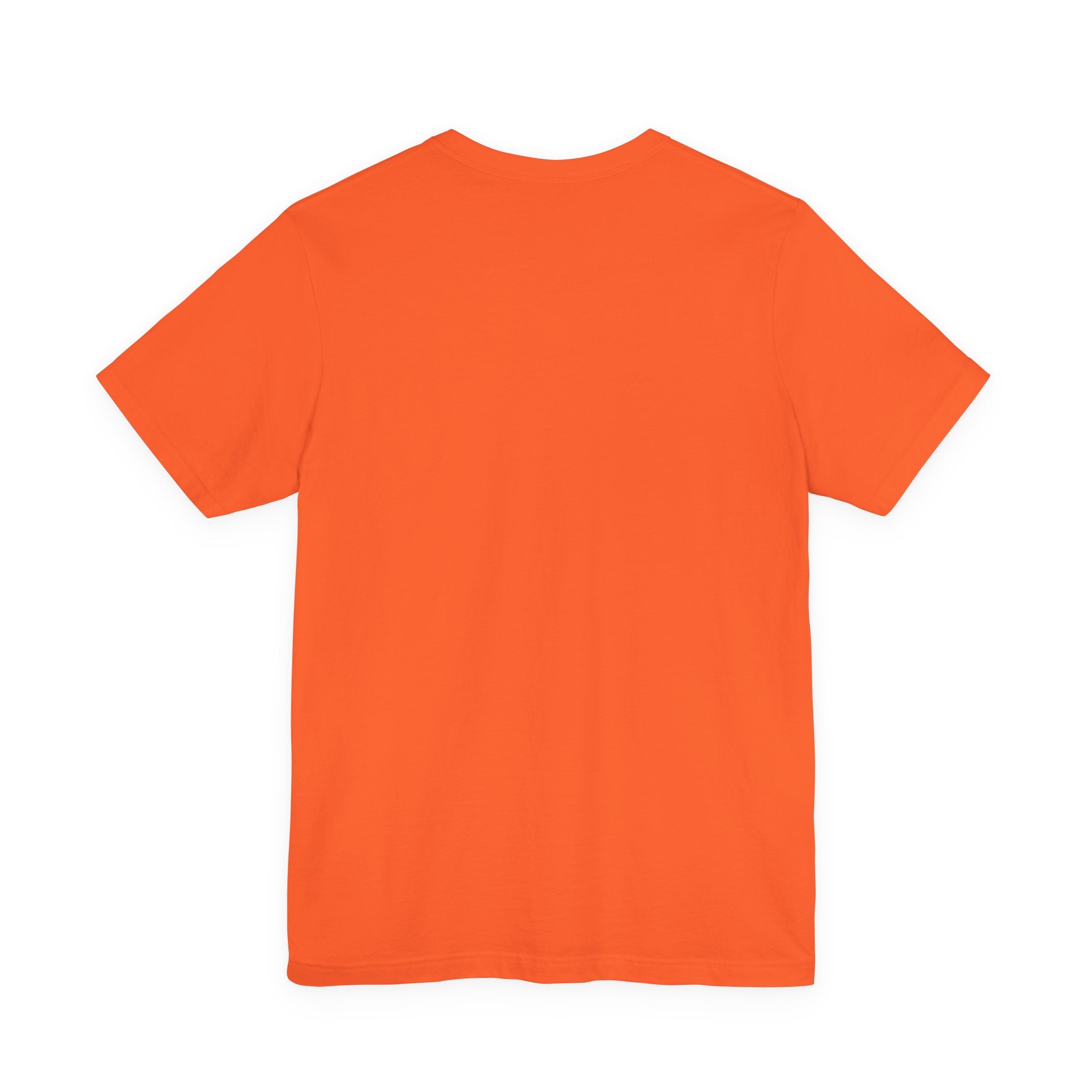 Adult popsicle drip T-shirt